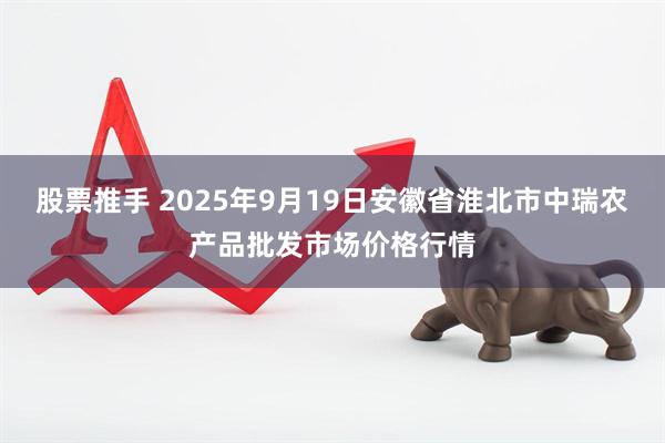 股票推手 2025年9月19日安徽省淮北市中瑞农产品批发市场价格行情