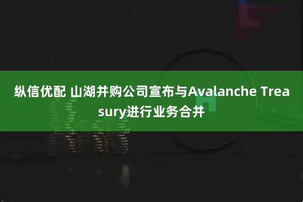 纵信优配 山湖并购公司宣布与Avalanche Treasury进行业务合并