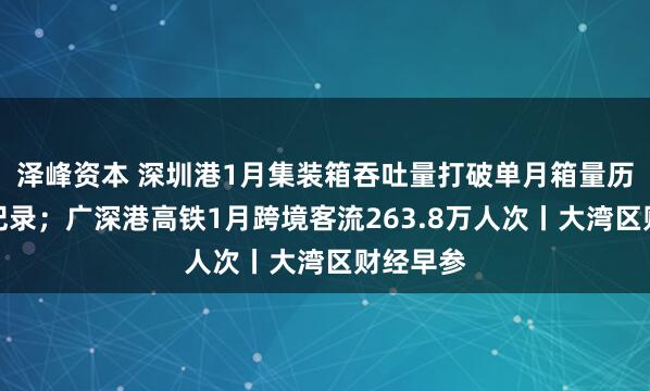 泽峰资本 深圳港1月集装箱吞吐量打破单月箱量历史最高纪录；广深港高铁1月跨境客流263.8万人次丨大湾区财经早参
