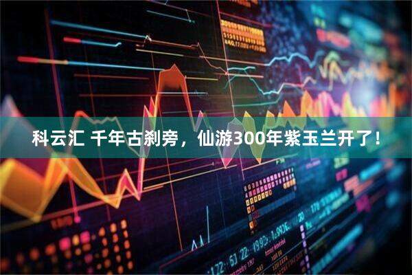 科云汇 千年古刹旁，仙游300年紫玉兰开了！