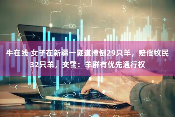 牛在线 女子在新疆一隧道撞倒29只羊，赔偿牧民32只羊，交警：羊群有优先通行权